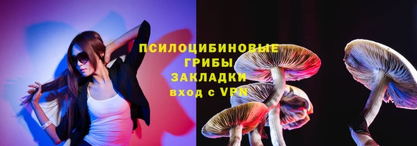 гидра Новоуральск