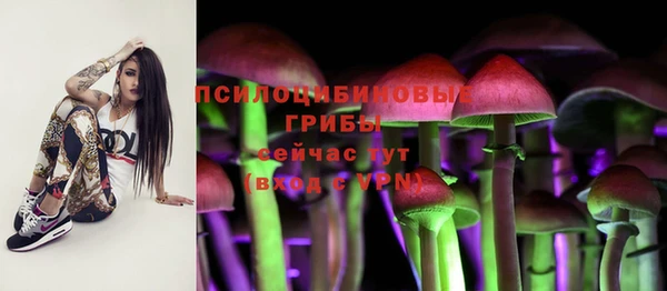 тгк Нея