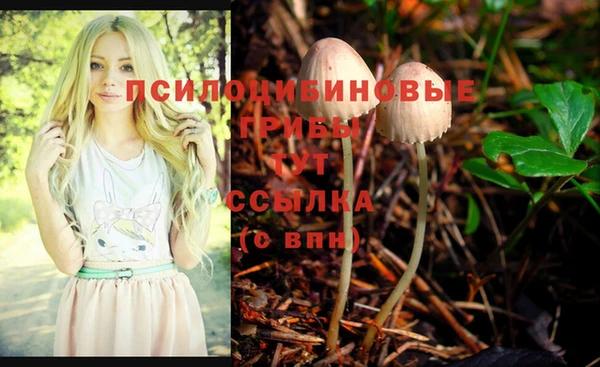 тгк Нефтекумск