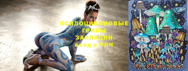 тгк Нея