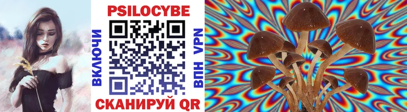 Псилоцибиновые грибы прущие грибы  площадка клад  Артём 